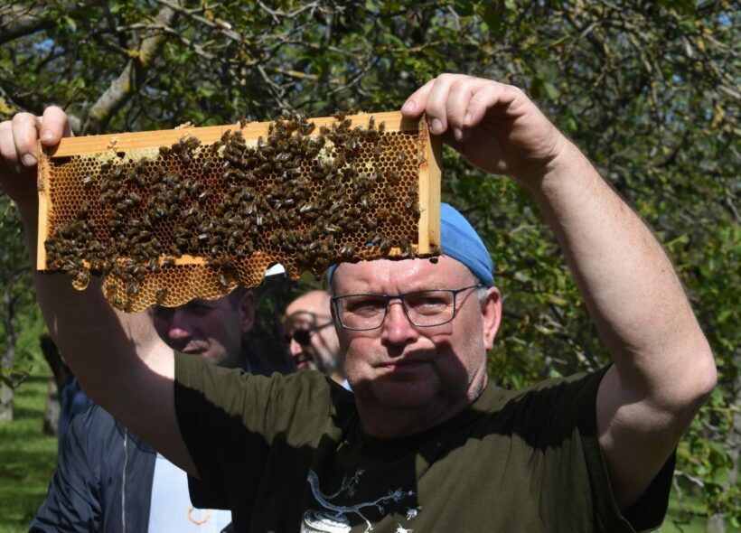 Datum 20. května slaví včelaři jako Světový den včel.